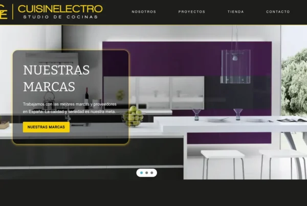 Cuisin Electro corporate web design