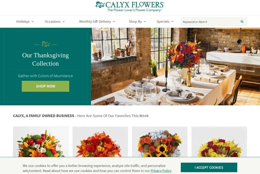 web designer uk work 5